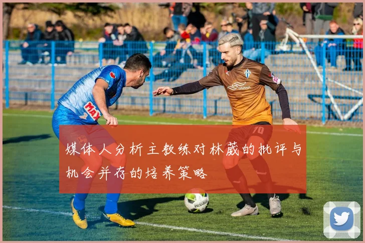 媒体人分析主教练对林葳的批评与机会并存的培养策略
