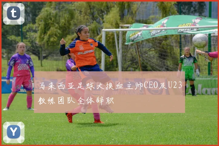 马来西亚足球大换血主帅CEO及U23教练团队全体辞职